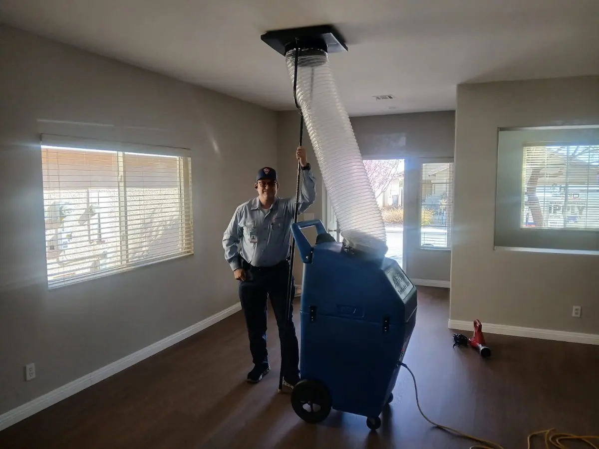 Professional Dryer Vent Cleaning work inside a Woodlawn home